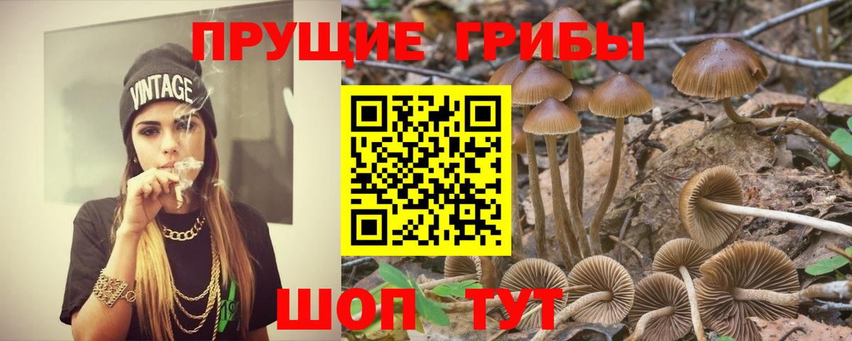 Псилоцибиновые грибы Cubensis  Галлюциногенные грибы прущие грибы  Вход с VPN  Джанкой 