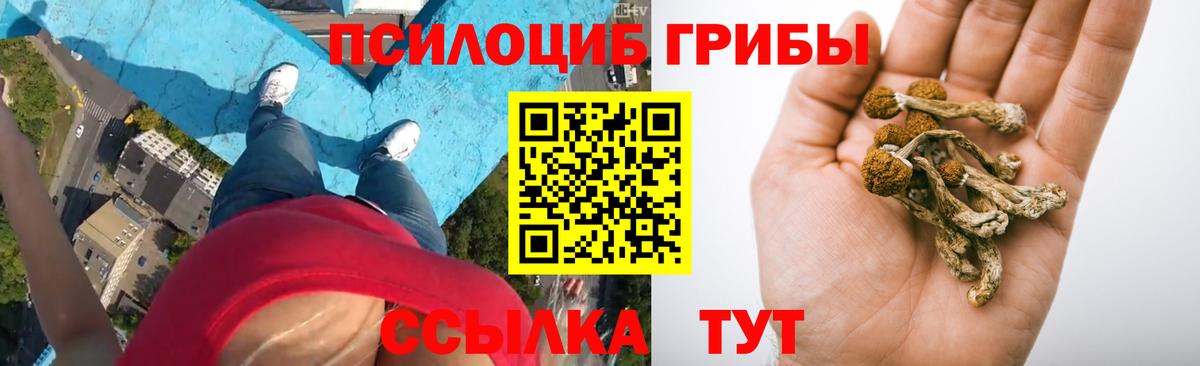 Галлюциногенные грибы Psilocybine cubensis Джанкой